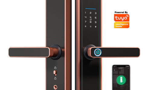 موديل X6